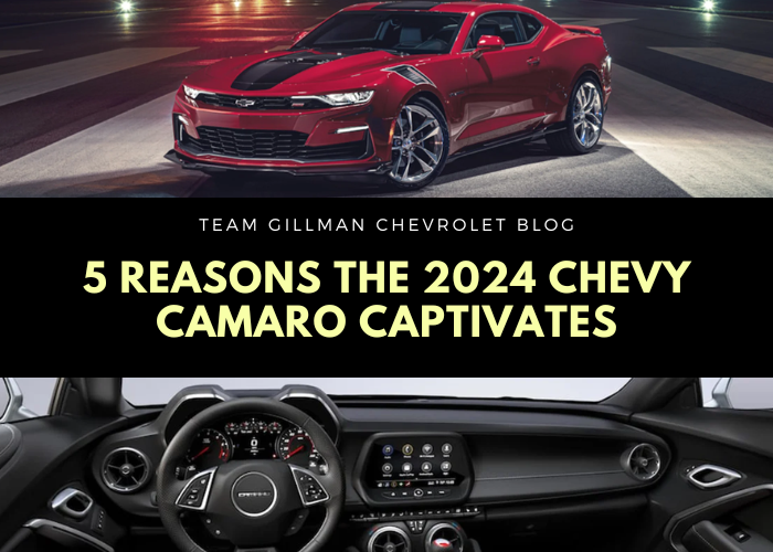 2024 chevy camaro - team gillman